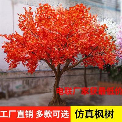 廣州廠家批發家居年貨日本紅楓樹 酒店裝飾楓樹植物 松濤工藝盆栽紅楓